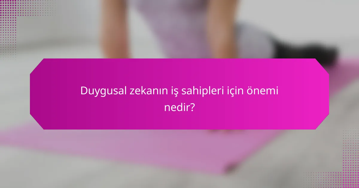 Duygusal zekanın iş sahipleri için önemi nedir?