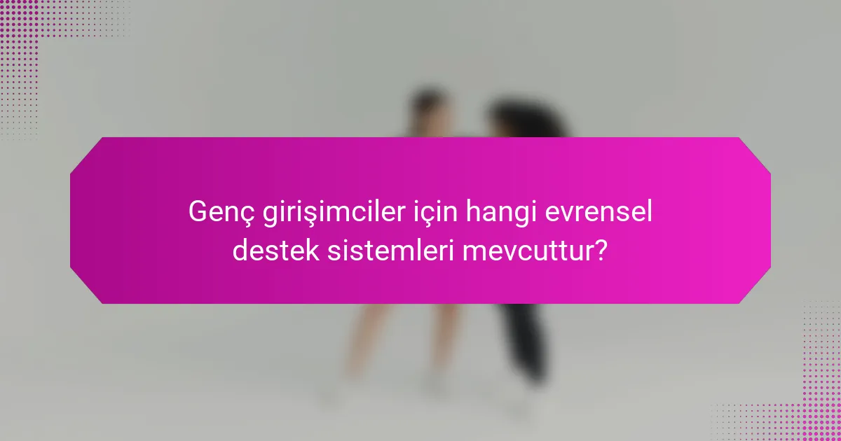 Genç girişimciler için hangi evrensel destek sistemleri mevcuttur?