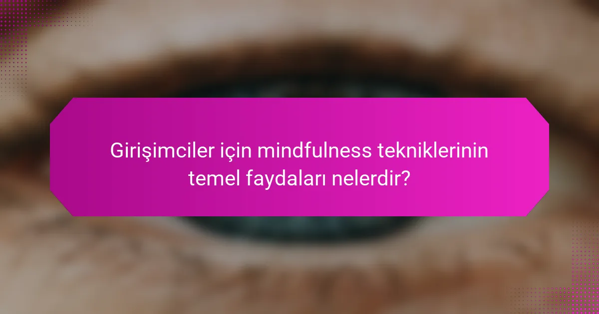 Girişimciler için mindfulness tekniklerinin temel faydaları nelerdir?