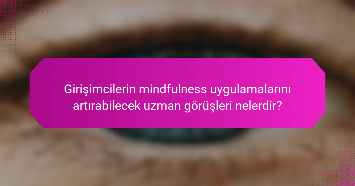 Girişimcilerin mindfulness uygulamalarını artırabilecek uzman görüşleri nelerdir?