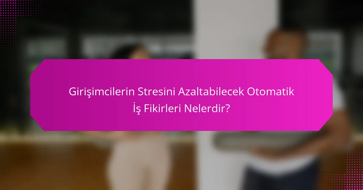 Girişimcilerin Stresini Azaltabilecek Otomatik İş Fikirleri Nelerdir?