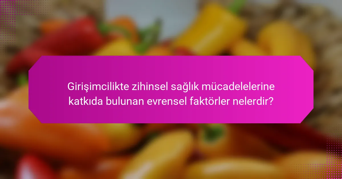 Girişimcilikte zihinsel sağlık mücadelelerine katkıda bulunan evrensel faktörler nelerdir?