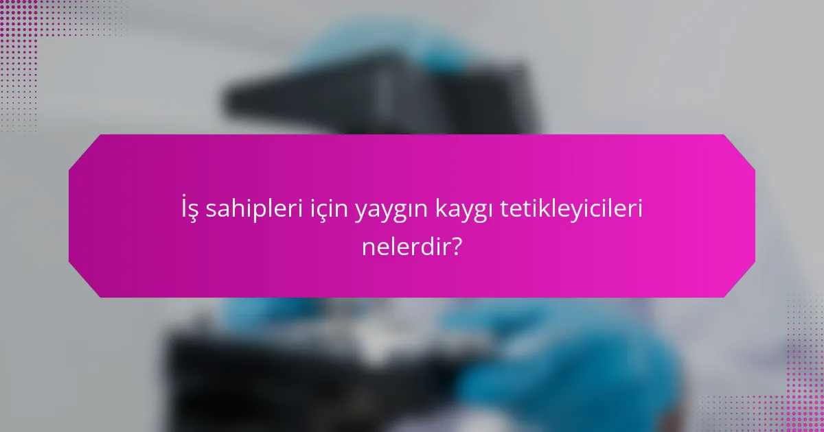 İş sahipleri için yaygın kaygı tetikleyicileri nelerdir?