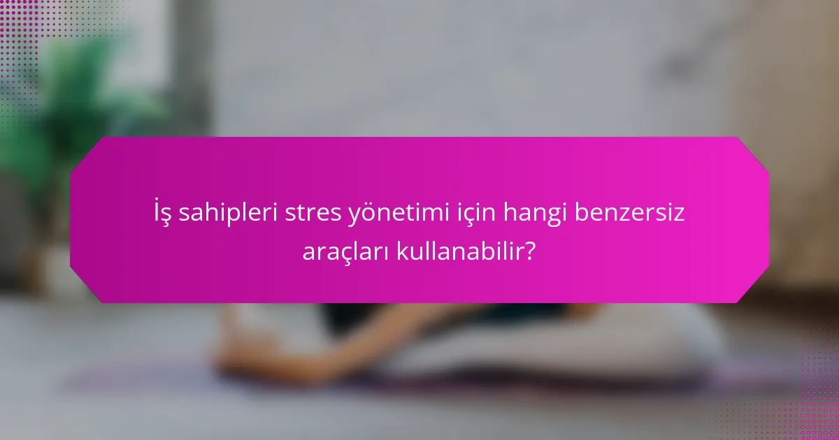 İş sahipleri stres yönetimi için hangi benzersiz araçları kullanabilir?