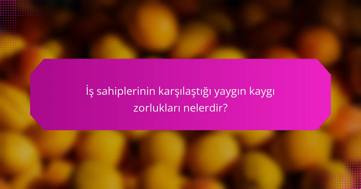 İş sahiplerinin karşılaştığı yaygın kaygı zorlukları nelerdir?