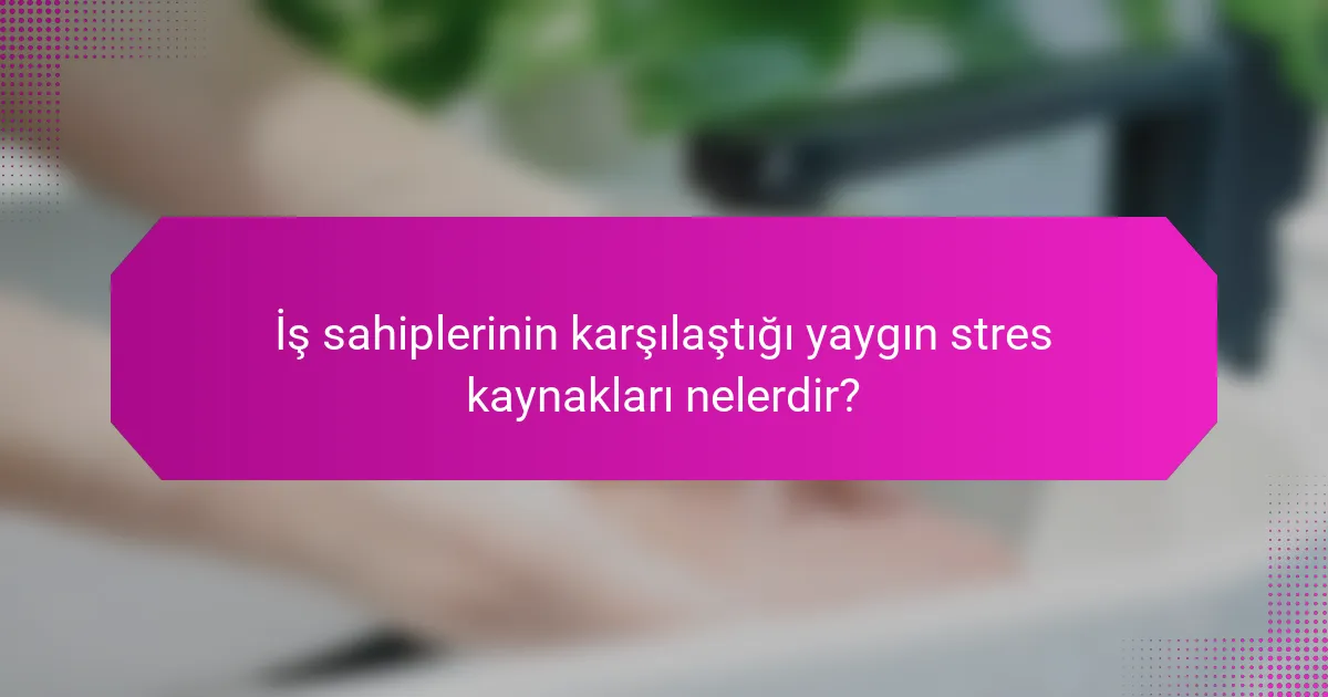 İş sahiplerinin karşılaştığı yaygın stres kaynakları nelerdir?